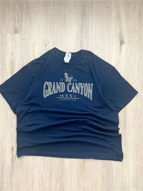 Vintage Grand Canyon National Park T Shirt Mens Large Blue Delta Organic Arizona